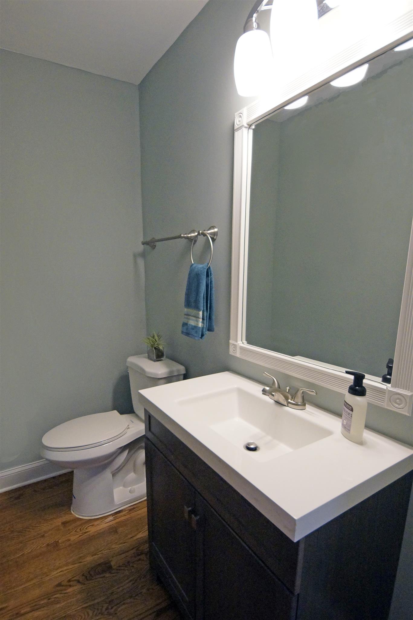 807 River Pass Madison, TN 37115 - Photo 17 of 25 a bathroom with a sink and a toilet