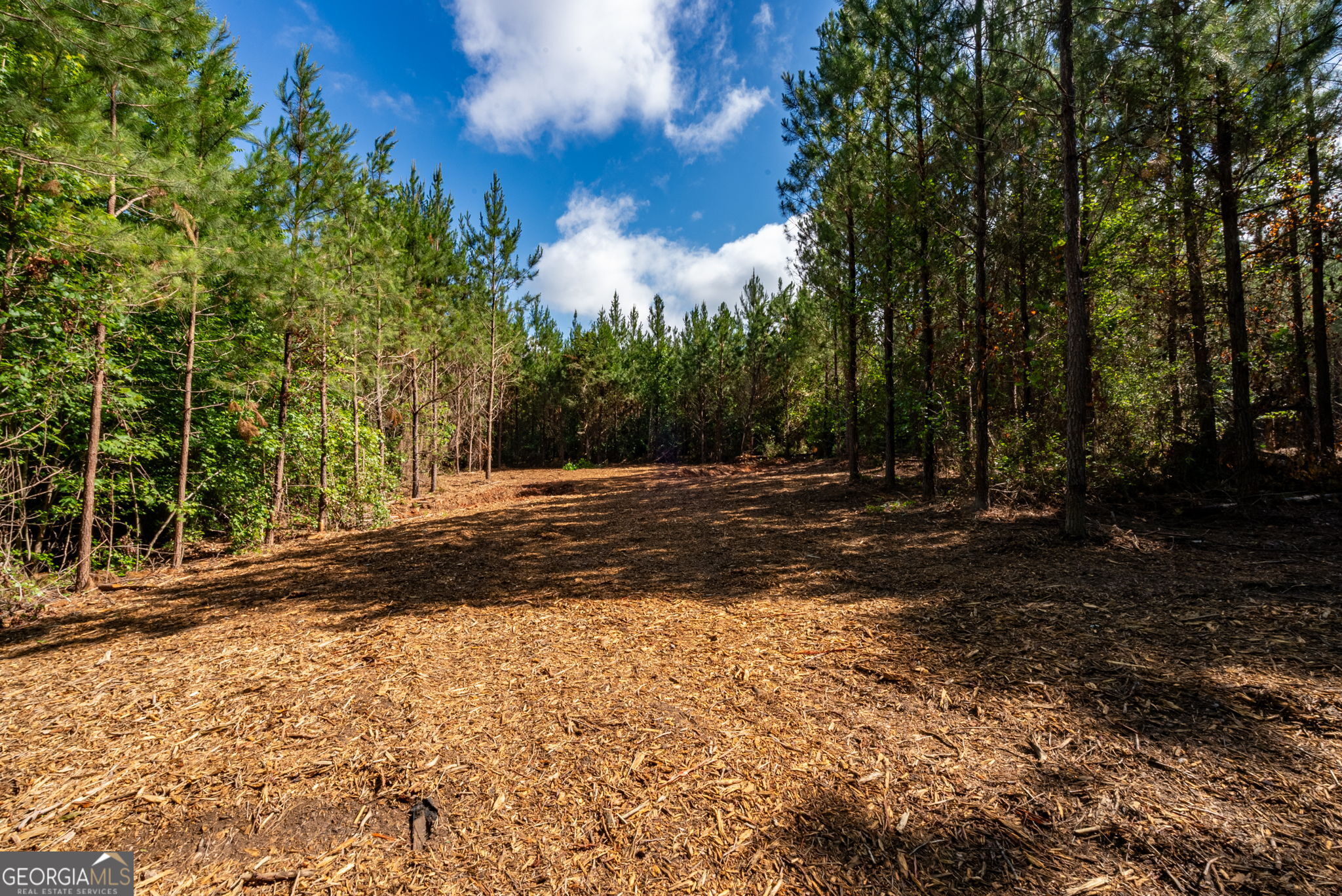2 Brewer's Bridge Road Elberton, GA 30635 - Photo 13 of 24