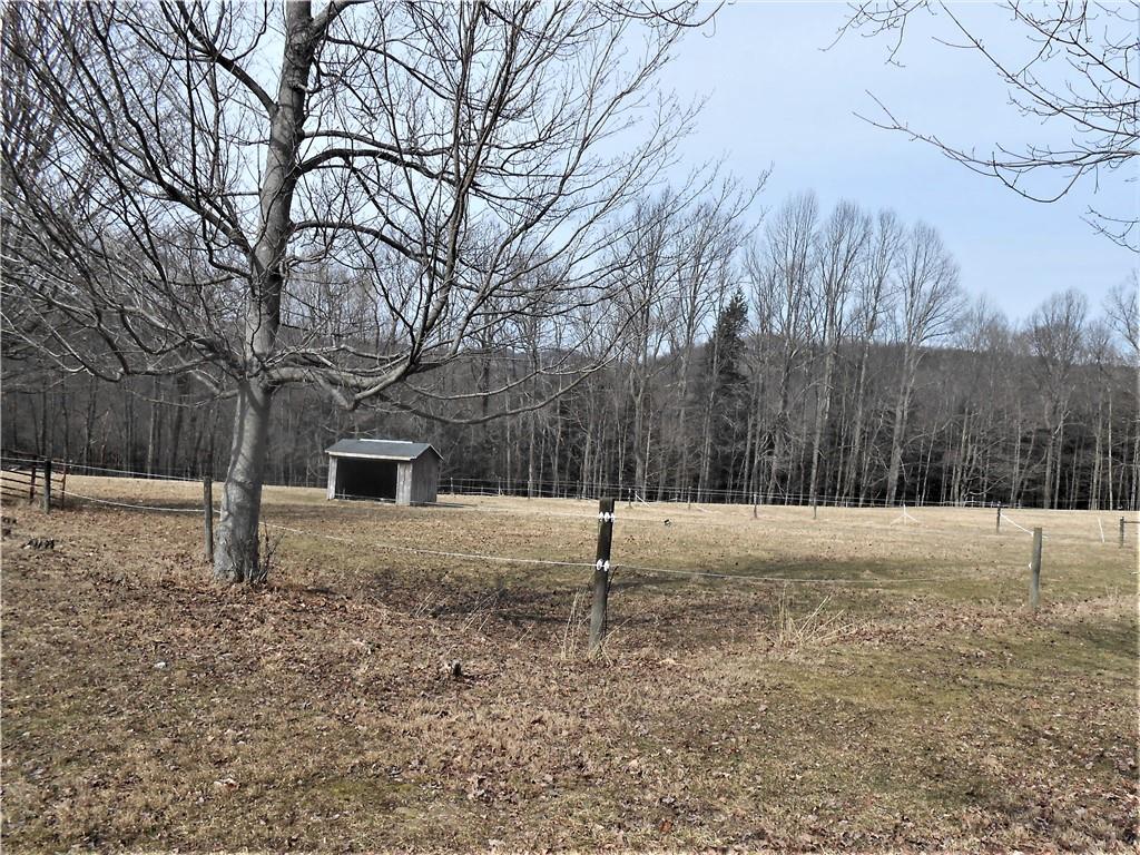 893 Nashville Road Rochester Mills, PA 15771 - Photo 9 of 24