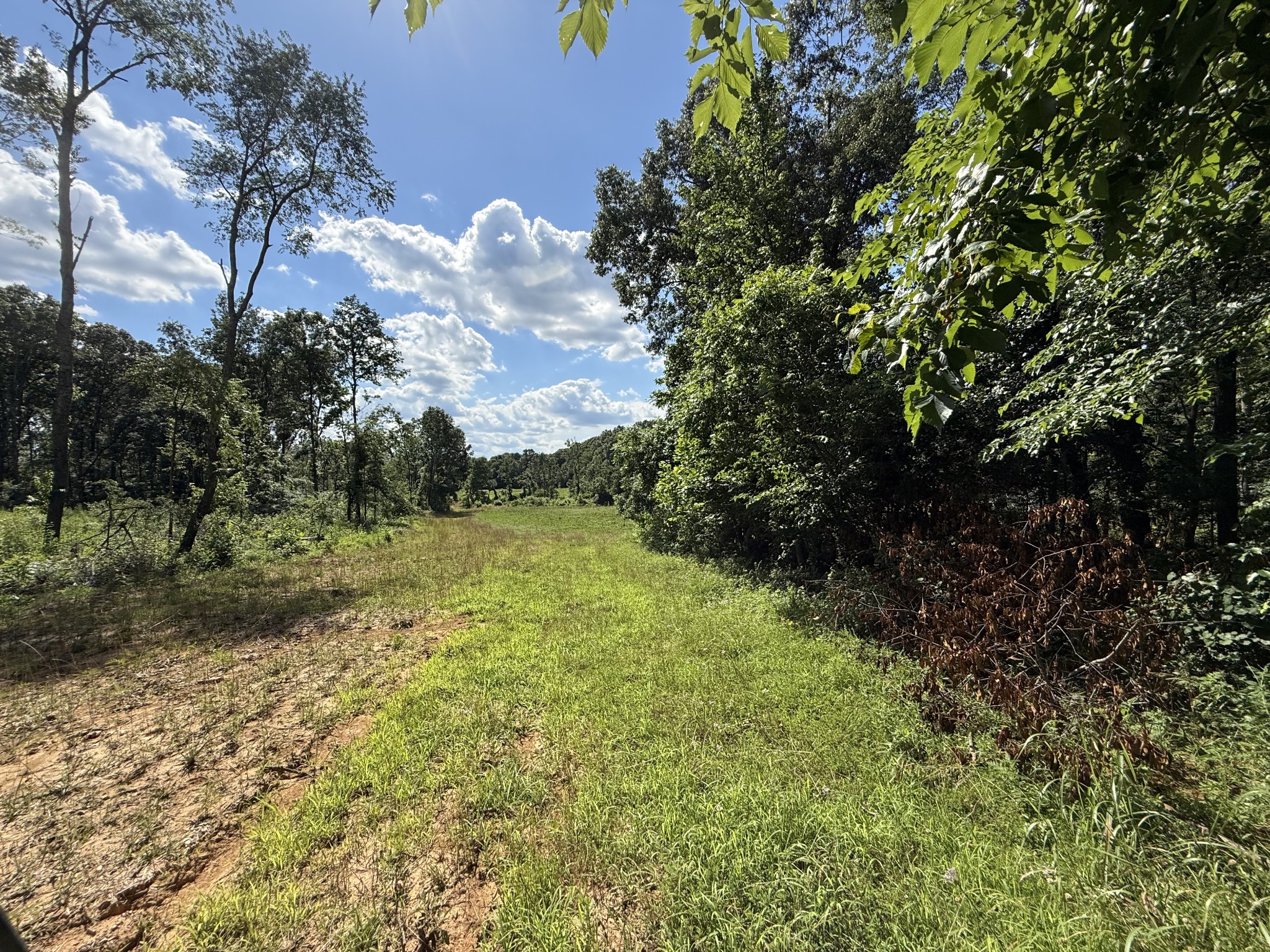 2333 Shady Grove Road McKenzie, TN 38201 - Photo 47 of 72