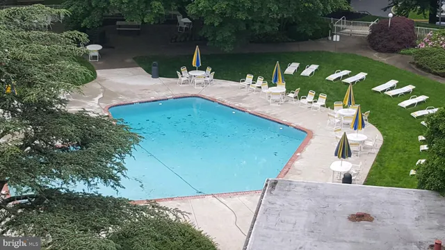 a view of a garden from a patio