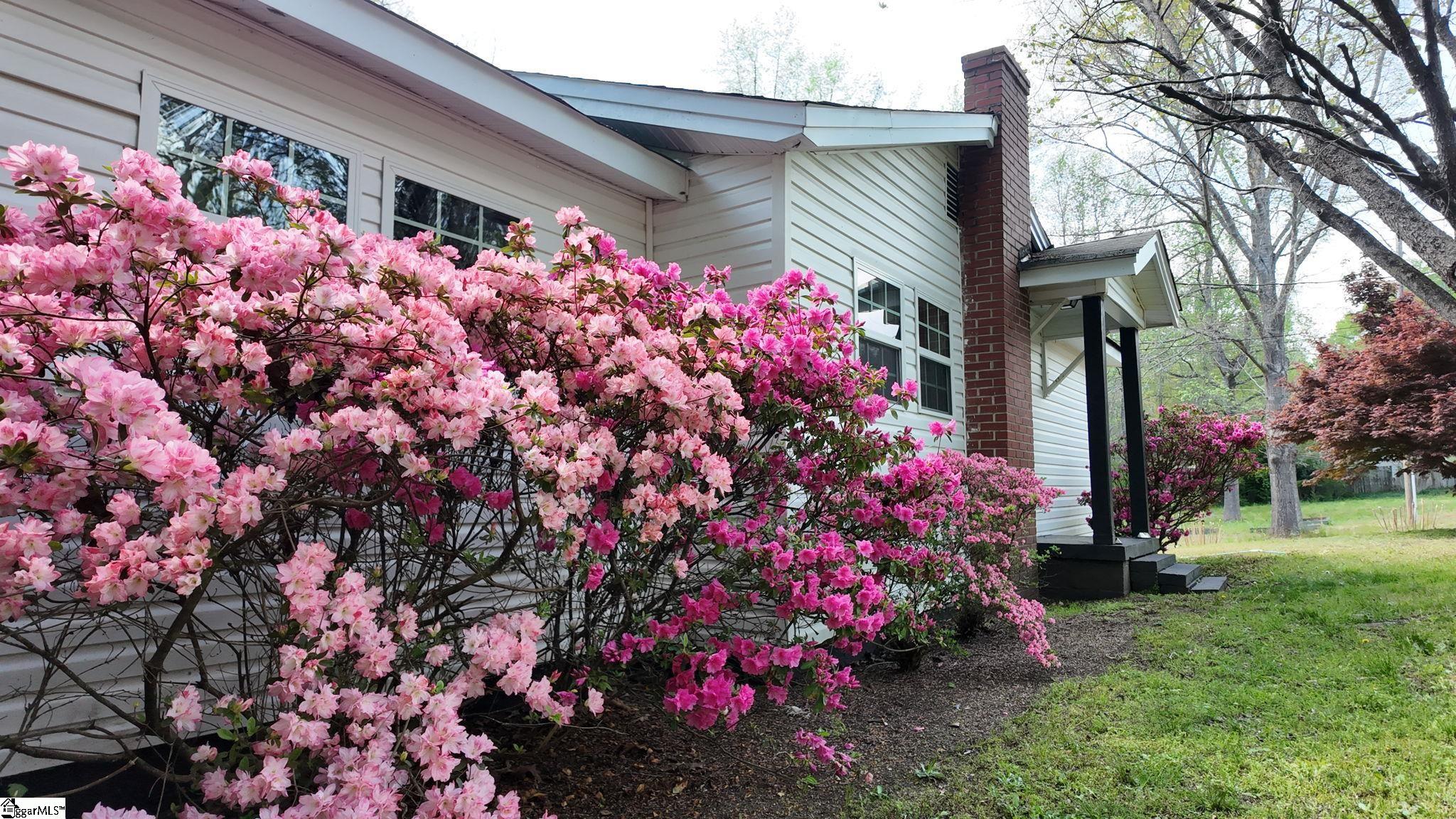 303 Garren Road Belton, SC 29627 - Photo 2 of 42