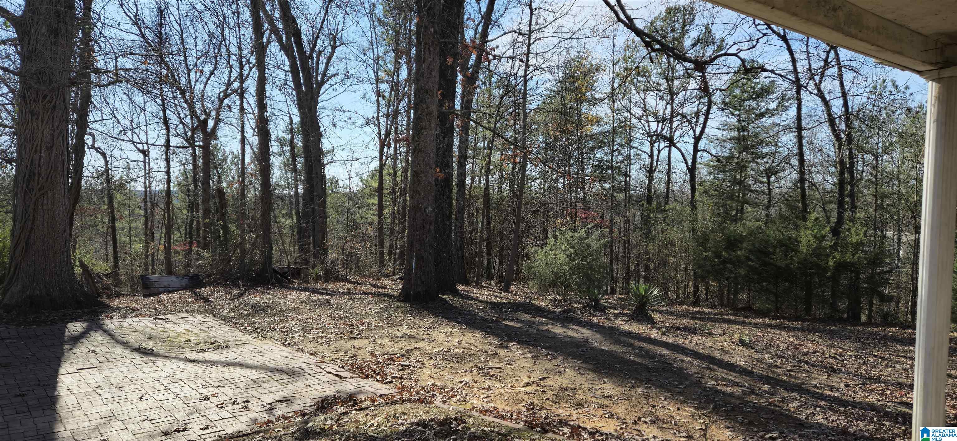 8897 Bradford Trafford Road Pinson, AL 35126 - Photo 5 of 21