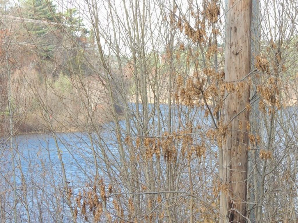 19 Main Road Eddington, ME 04428 - Photo 30 of 30 Photo