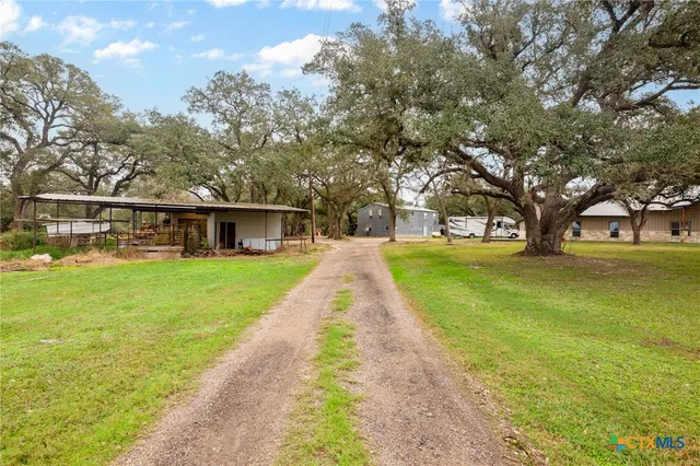 a view of a yard with plants and large trees