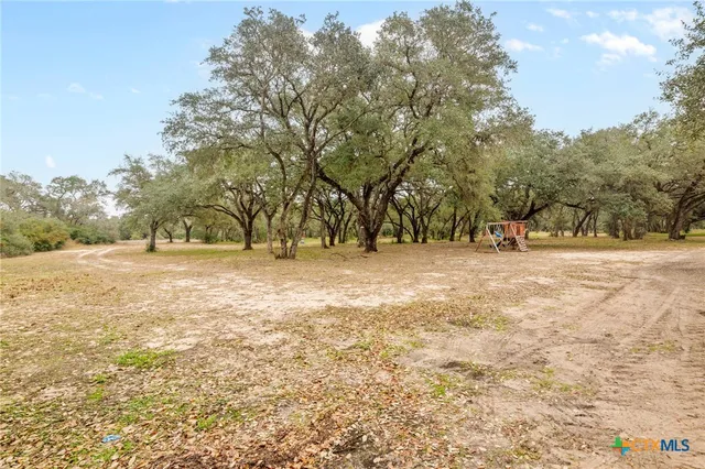 a view of dirt field with trees