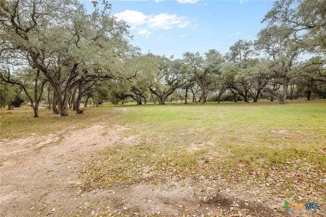 a view of yard with trees