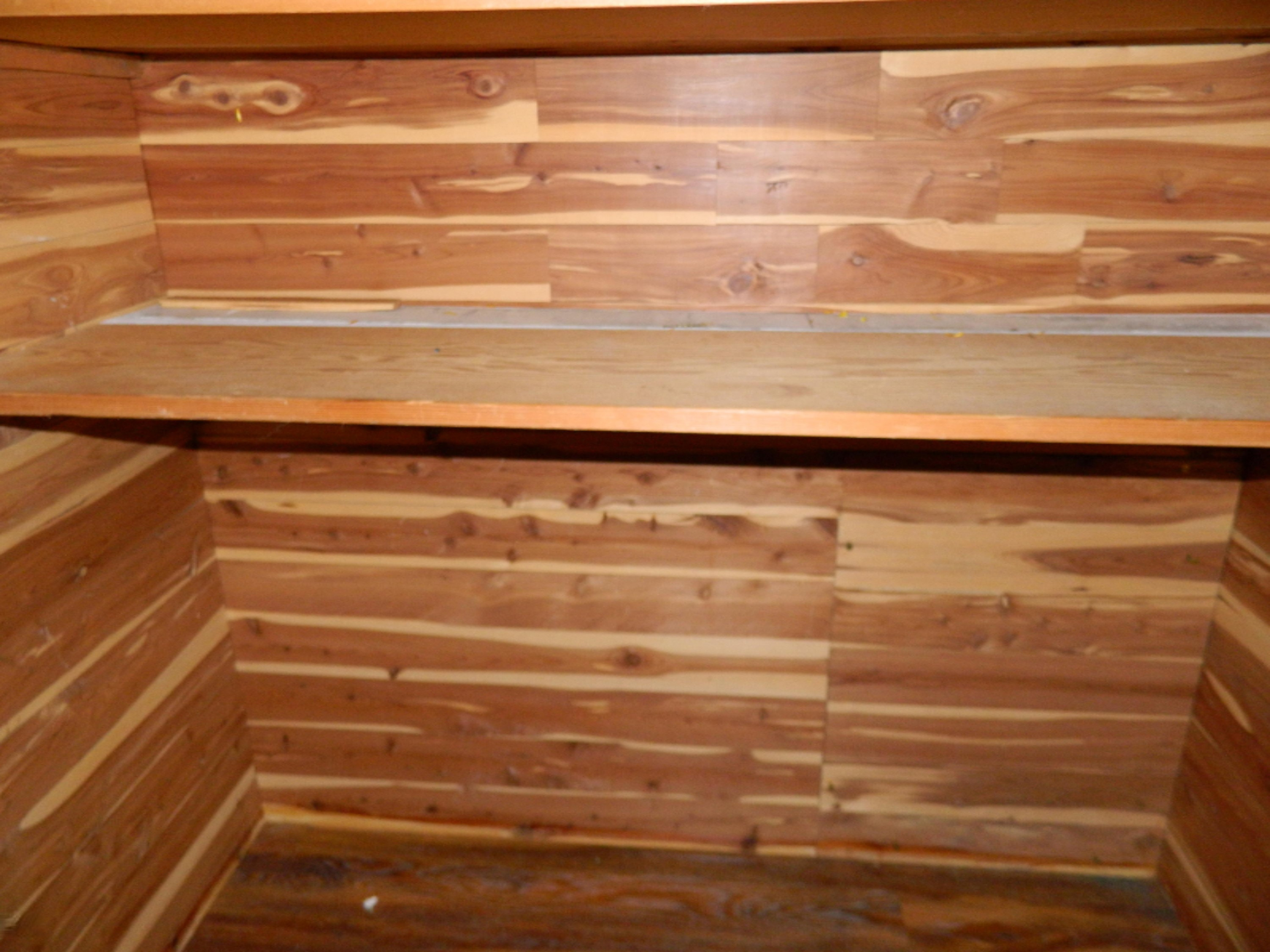 23771 Pinhook Road Mendon, MI 49072 - Photo 17 of 21 Cedar Lined Closets