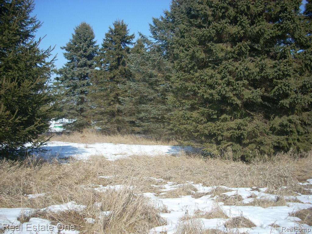 Par A Lamb Road Manchester, MI 48158 - Photo 3 of 5 Gallery Image 3