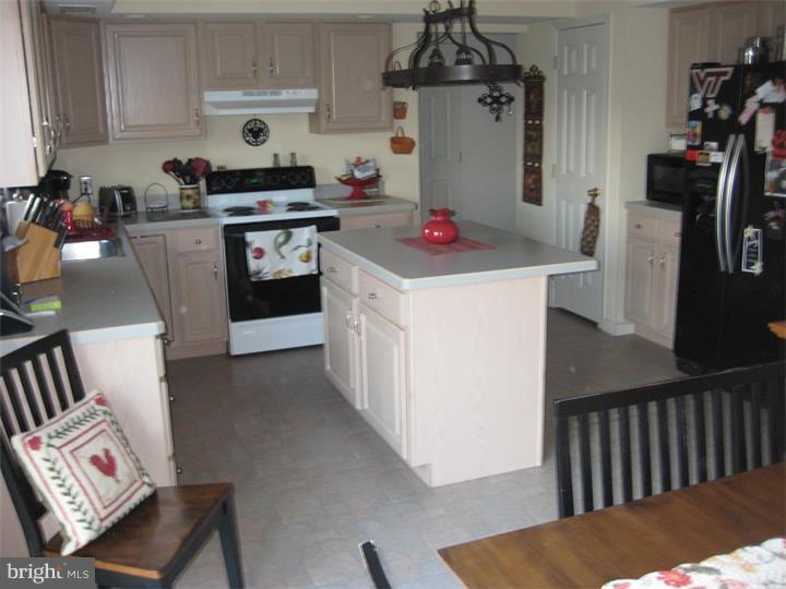 110 Roxberry Drive Sinking Spring, PA 19608 - Photo 4 of 24