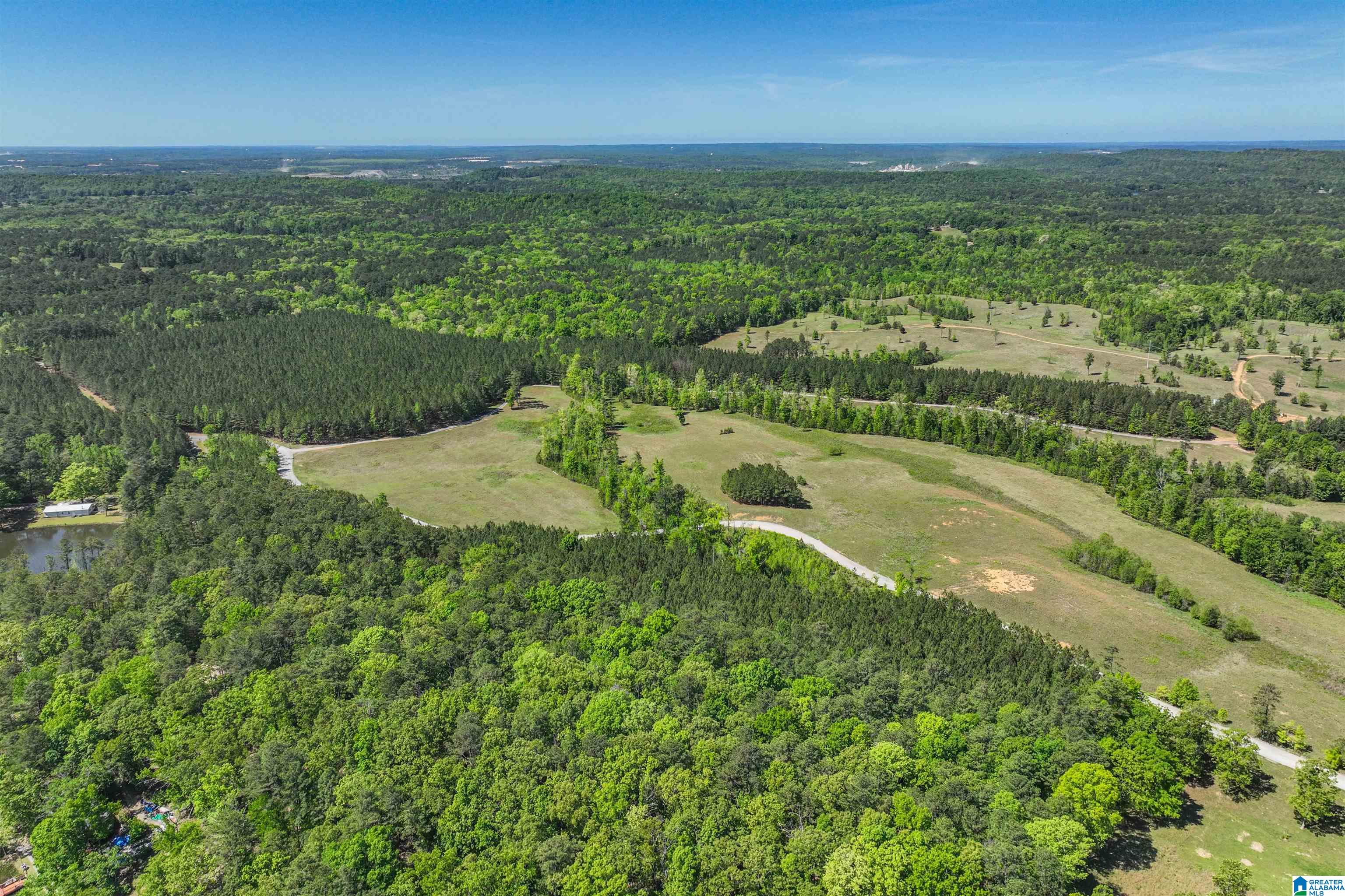 489 4 Wing Lake Road Alabaster, AL 35007 - Photo 15 of 27