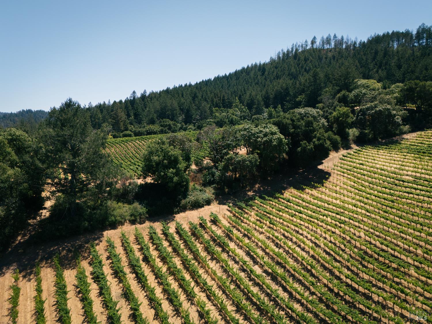 316 Wall Road Napa, CA 94558 - Photo 4 of 6