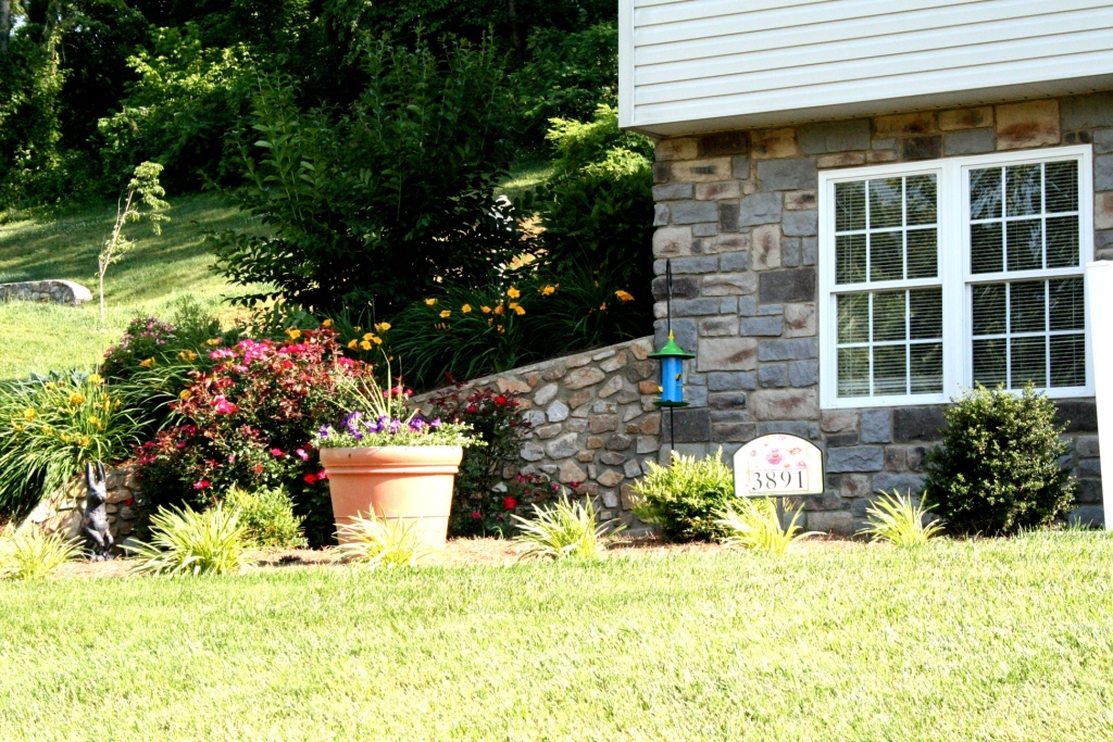 3891 Read Mountain Road Cloverdale, VA 24077 - Photo 15 of 15 Landscaping