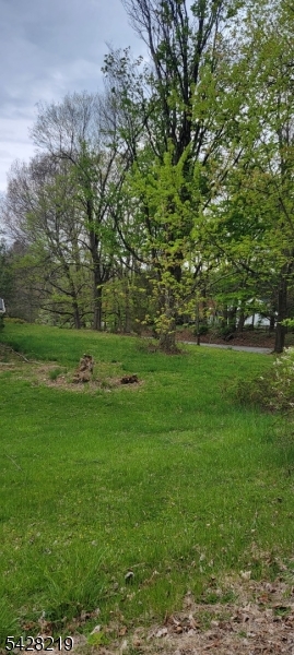 89 Mountain Avenue Mendham, NJ 07945 - Photo 2 of 4 a view of a grassy field with trees