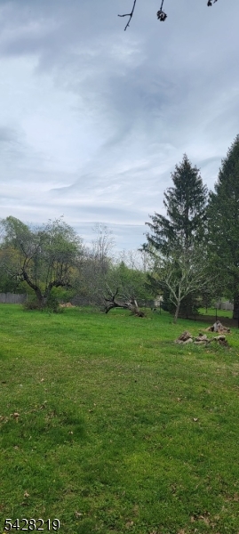 89 Mountain Avenue Mendham, NJ 07945 - Photo 3 of 4 a view of grassy field with trees