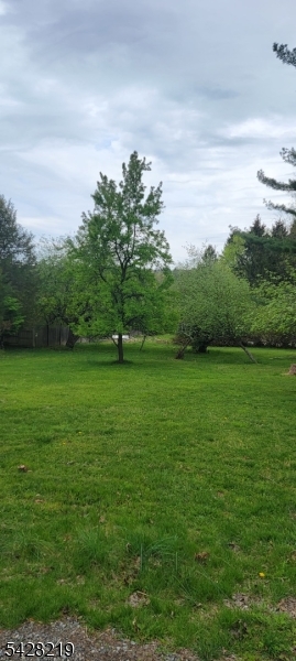 89 Mountain Avenue Mendham, NJ 07945 - Photo 4 of 4 a view of field with river in background