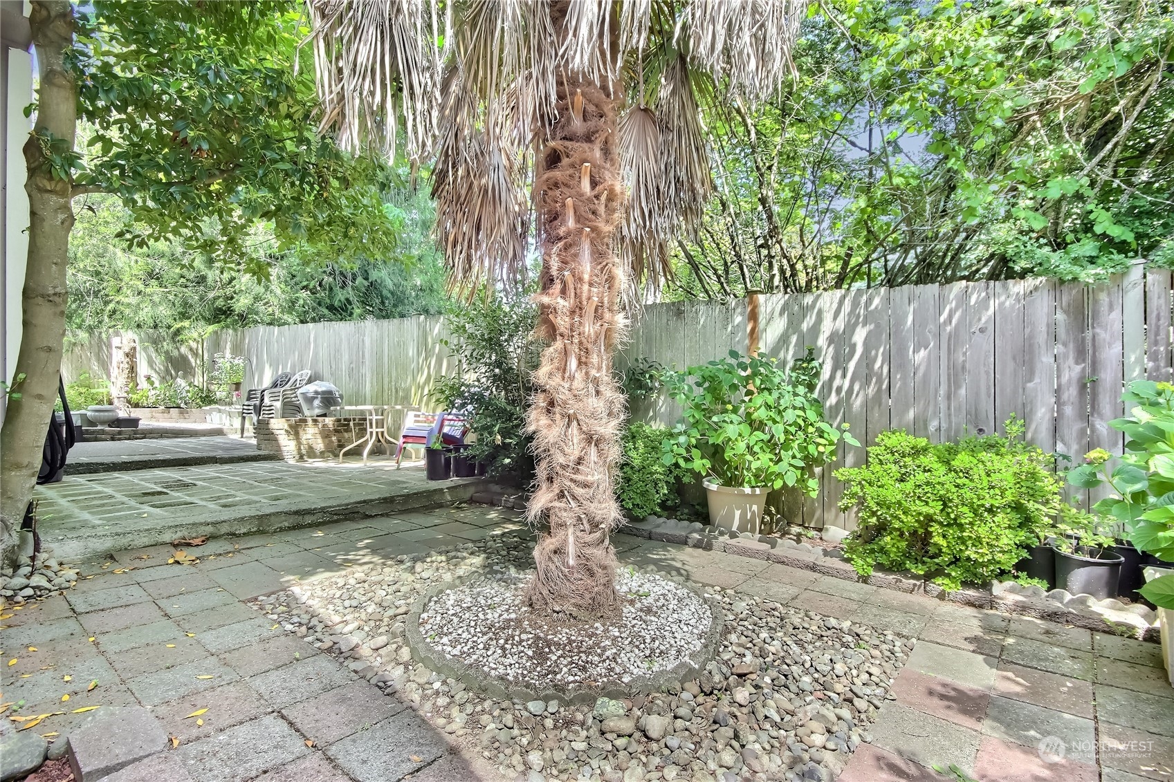 19910 142nd Place Southeast Renton, WA 98058 - Photo 32 of 38 a view of a backyard with plants and large trees