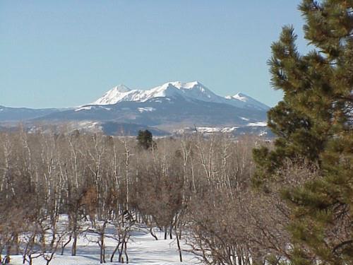 Sneffels View Road Placerville, CO 81430 - Photo 1 of 2 Primary Photo