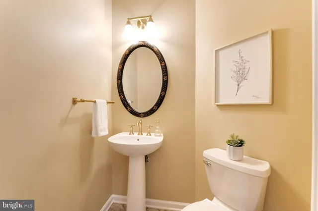 a flower plants in front of a house