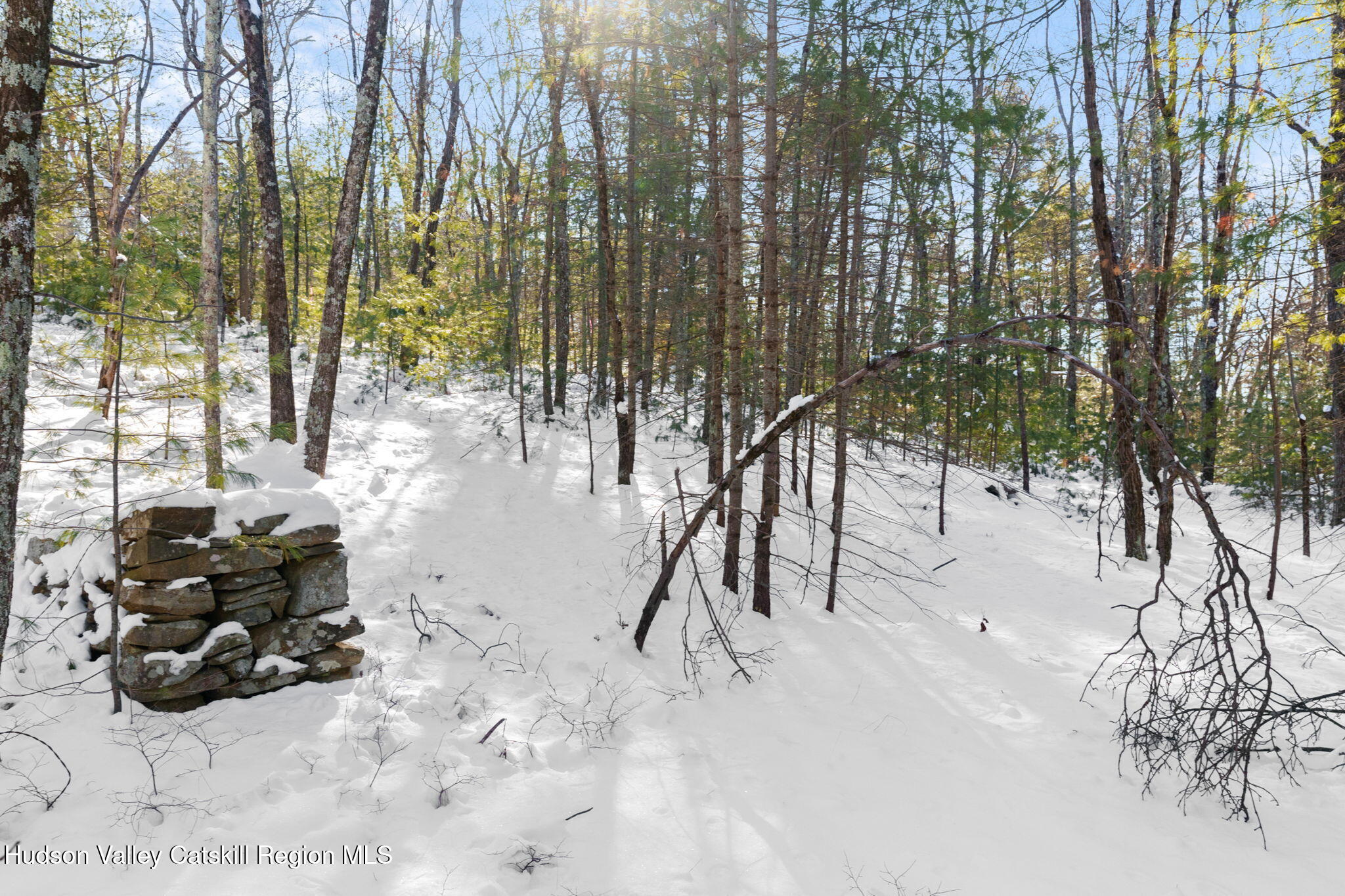 0 Dug Hill Road, Unit SIGN POST 269 Hurley, NY 12443 - Photo 11 of 27 41-web-or-mls-269 Dug Hill Rd-39