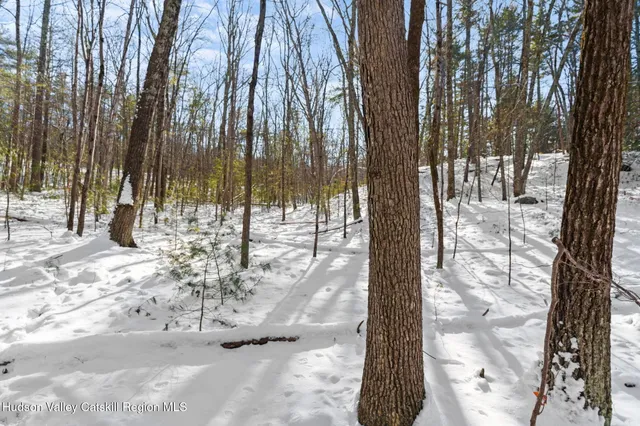 a swimming pool with trees in the background