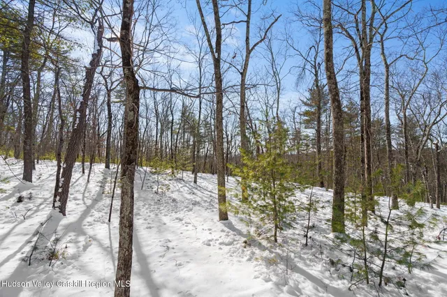 a view of swimming pool and trees