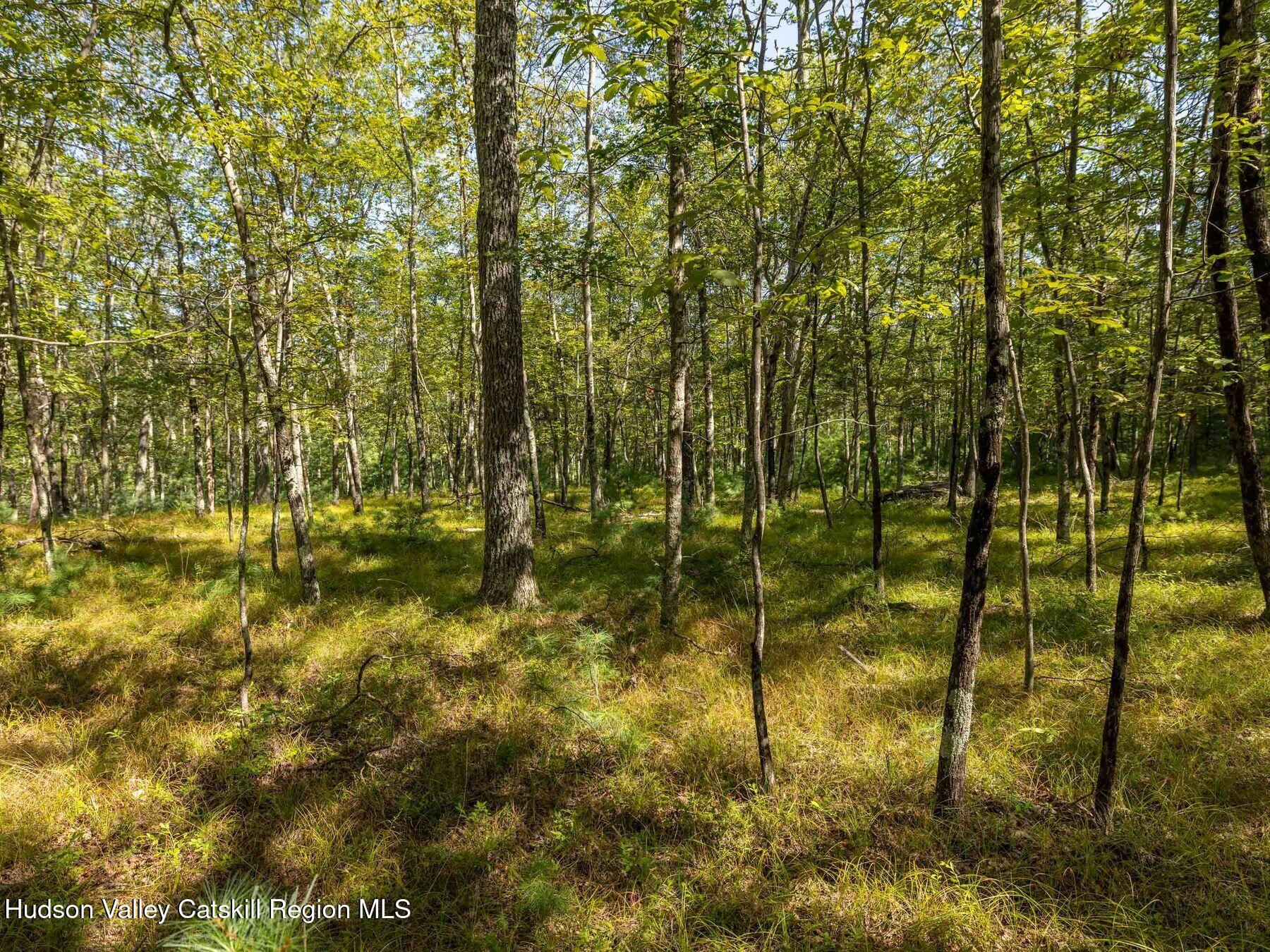 0 Dug Hill Road, Unit SIGN POST 269 Hurley, NY 12443 - Photo 20 of 27 photo_online_003