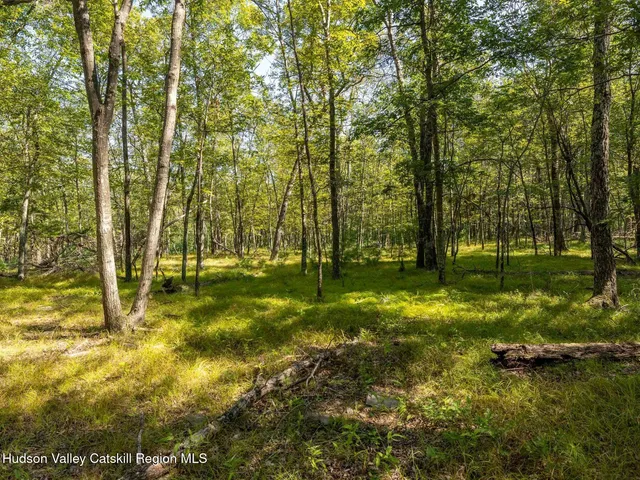 a view of outdoor space with trees