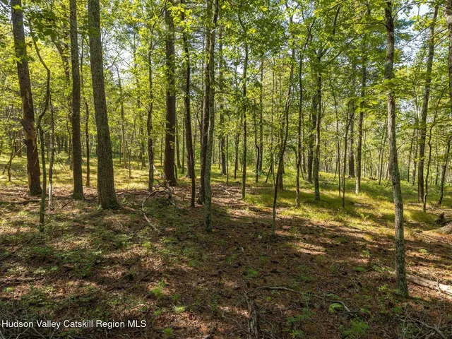 a view of swimming pool from a yard