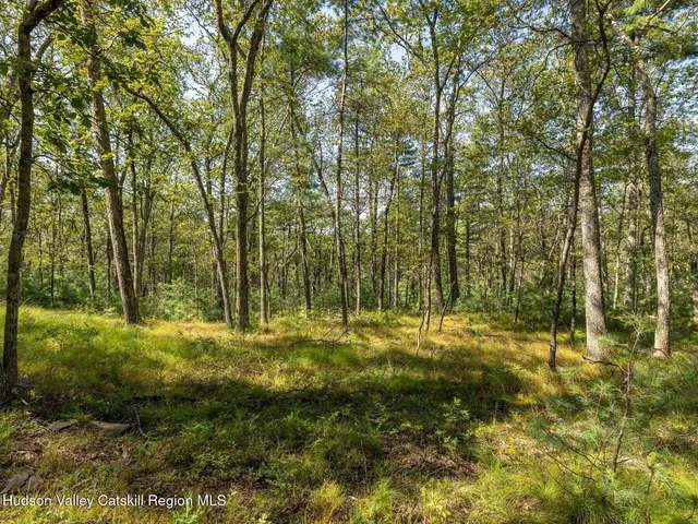 $749,000 | 0 Dug Hill Road, Unit SIGN POST 269, Hurley, NY 12443