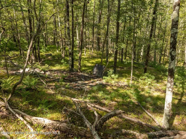 $749,000 | 0 Dug Hill Road, Unit SIGN POST 269, Hurley, NY 12443