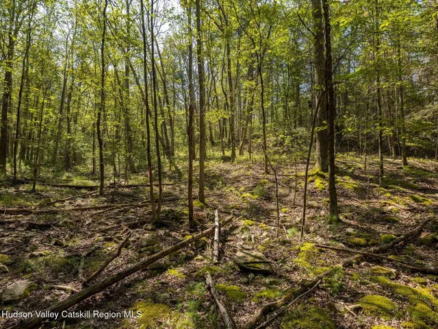 $749,000 | 0 Dug Hill Road, Unit SIGN POST 269, Hurley, NY 12443