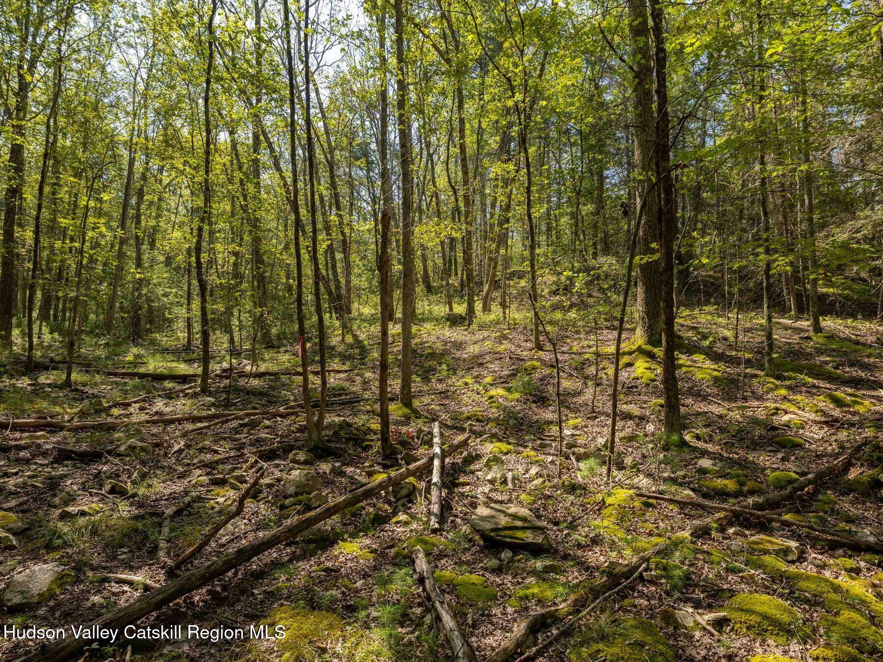 0 Dug Hill Road, Unit SIGN POST 269 Hurley, NY 12443 - Photo 27 of 27 photo_online_012