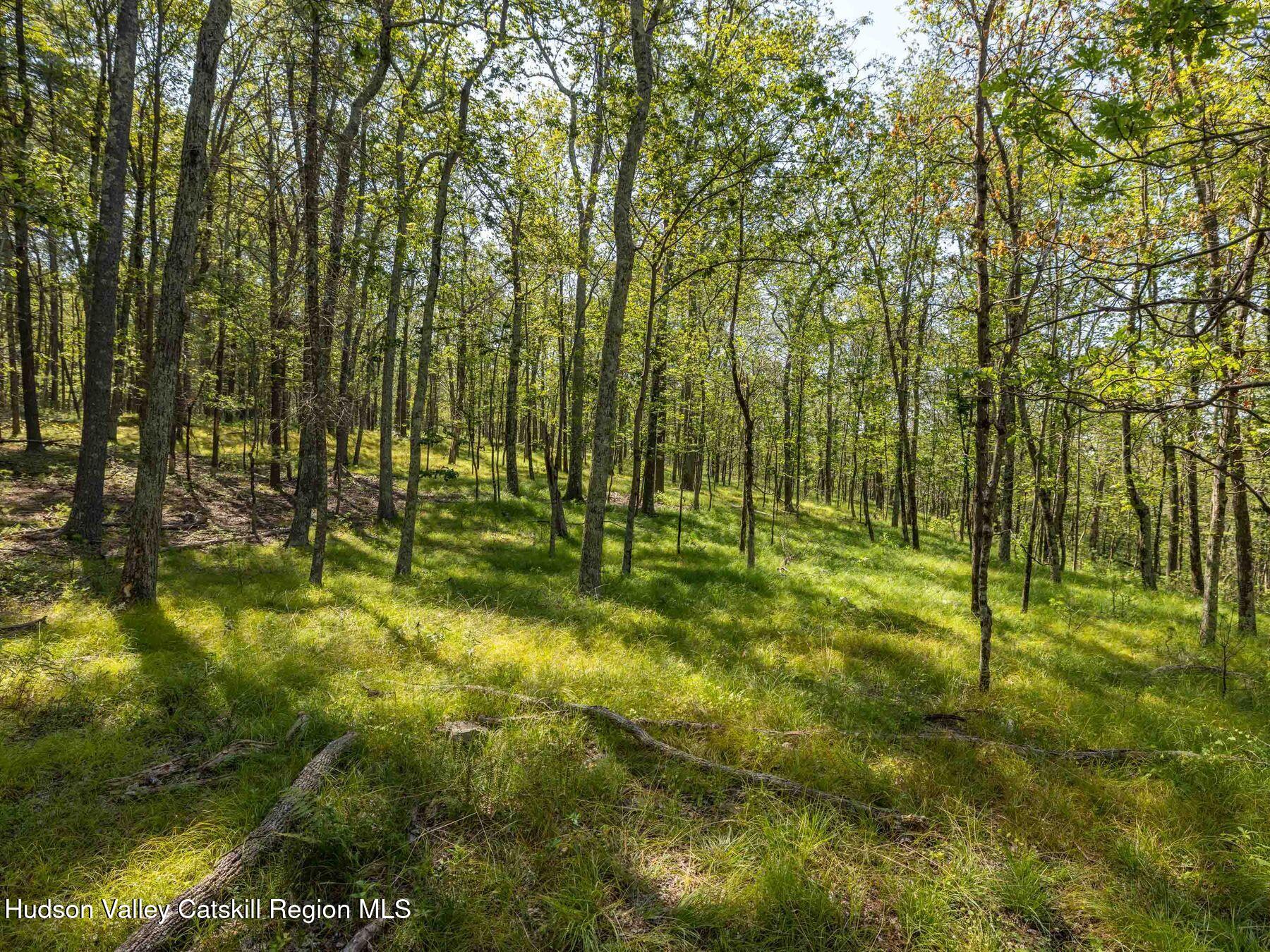 0 Dug Hill Road, Unit SIGN POST 269 Hurley, NY 12443 - Photo 3 of 27 photo_online_009