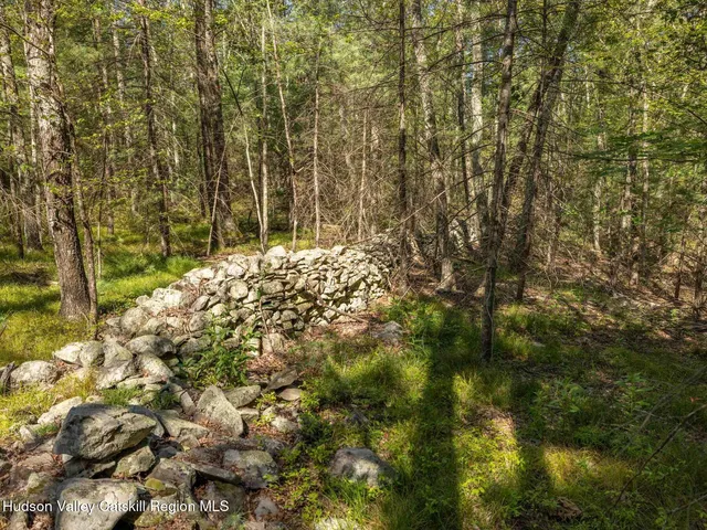 a view of a yard with trees
