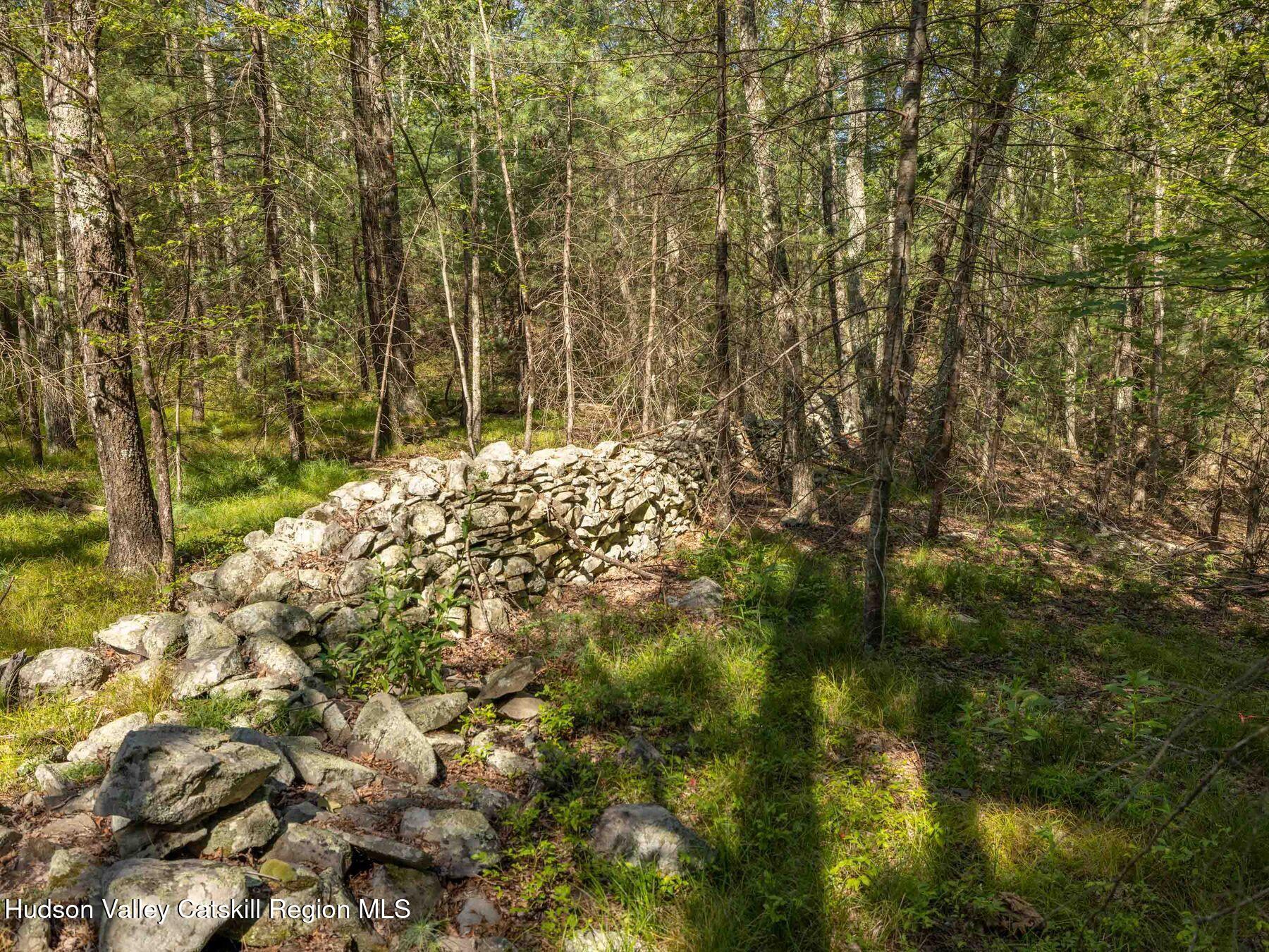 0 Dug Hill Road, Unit SIGN POST 269 Hurley, NY 12443 - Photo 7 of 27 photo_online_001