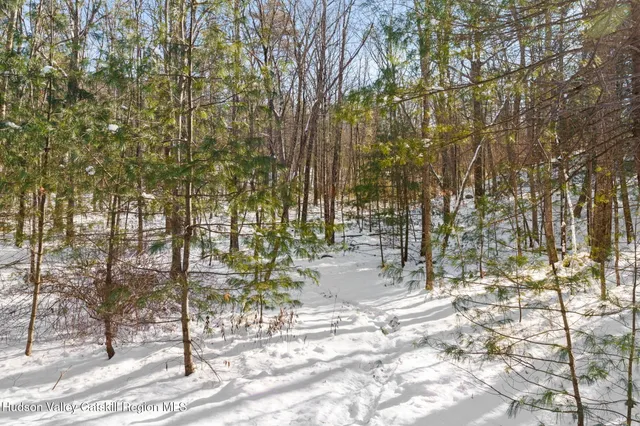 a view of yard with trees