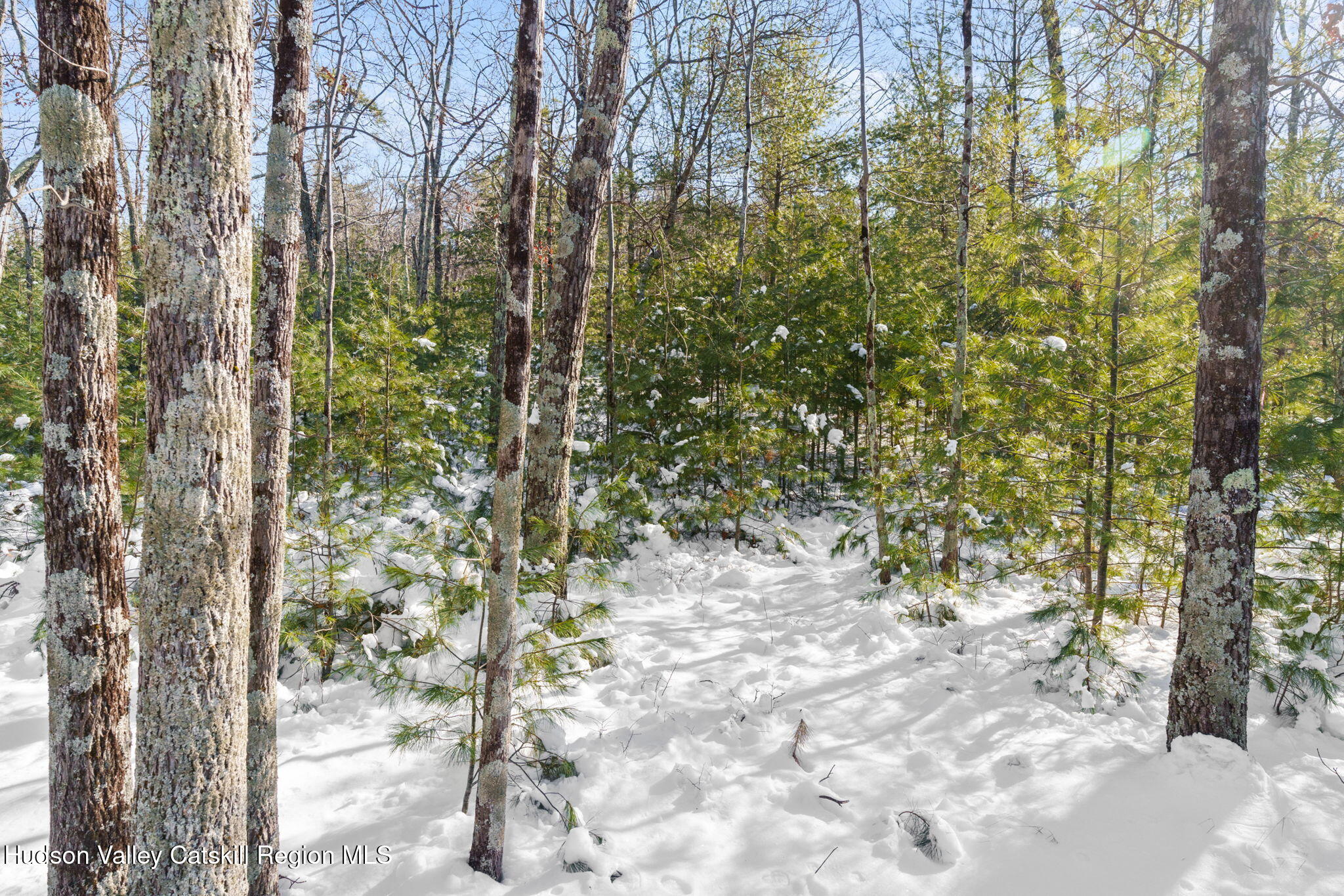 0 Dug Hill Road, Unit SIGN POST 269 Hurley, NY 12443 - Photo 9 of 27 3-web-or-mls-269 Dug Hill Rd-38