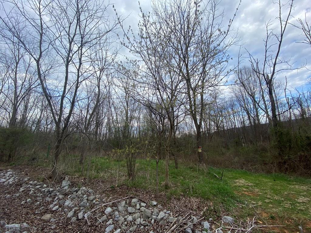 Lot 10 Mill Ridge Road Everett, PA 15537 - Photo 3 of 7 Gallery Image 3