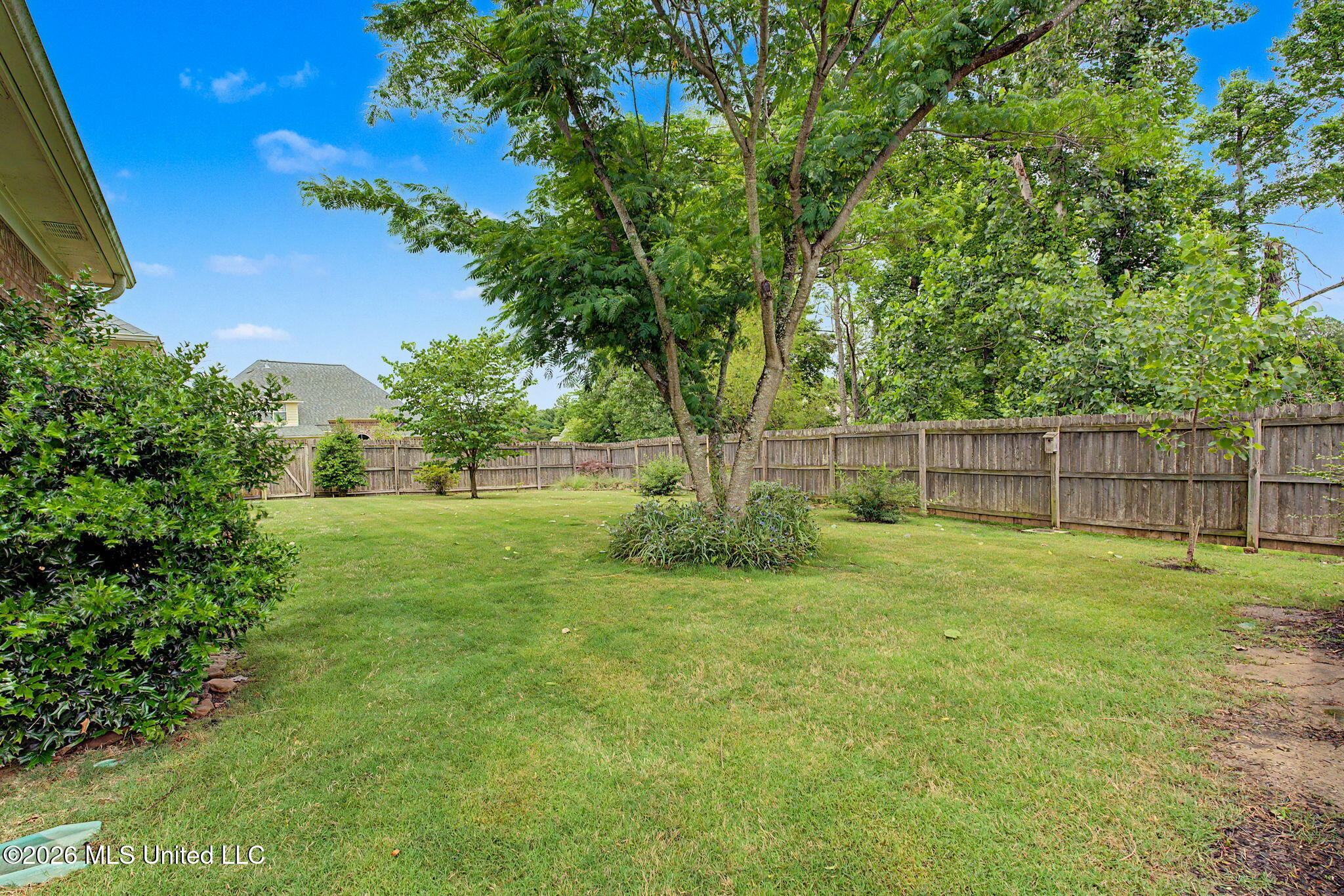 704 Shadow View Drive Hernando, MS 38632 - Photo 41 of 49 Backyard is fenced!