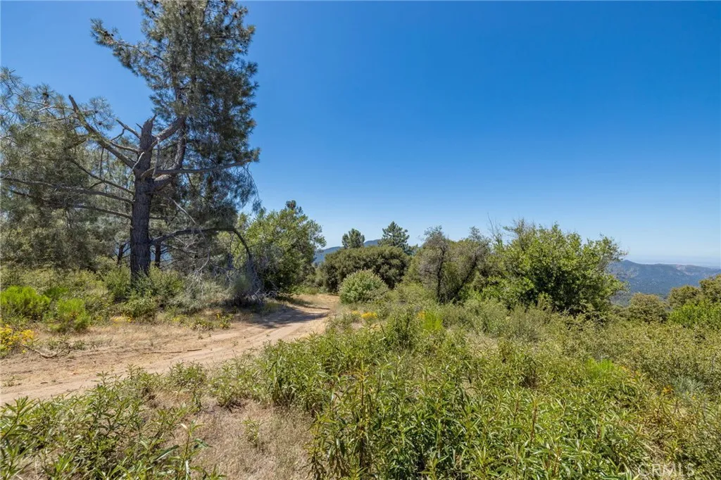 149 Old Yosemite Road Oakhurst, CA 93644 - Photo 68 of 74 Gallery Image 68