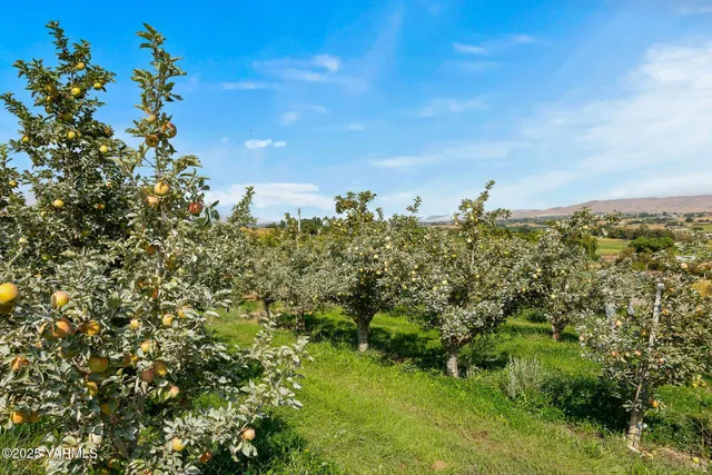 $850,000 | Nka Desmarais Road, Moxee, WA 98936