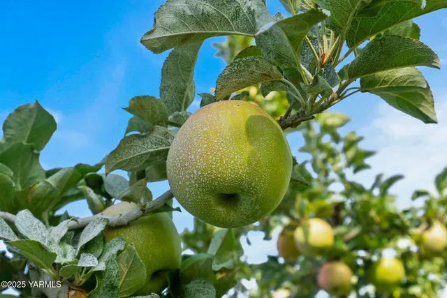 $850,000 | Nka Desmarais Road, Moxee, WA 98936