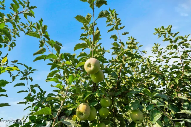 $850,000 | Nka Desmarais Road, Moxee, WA 98936