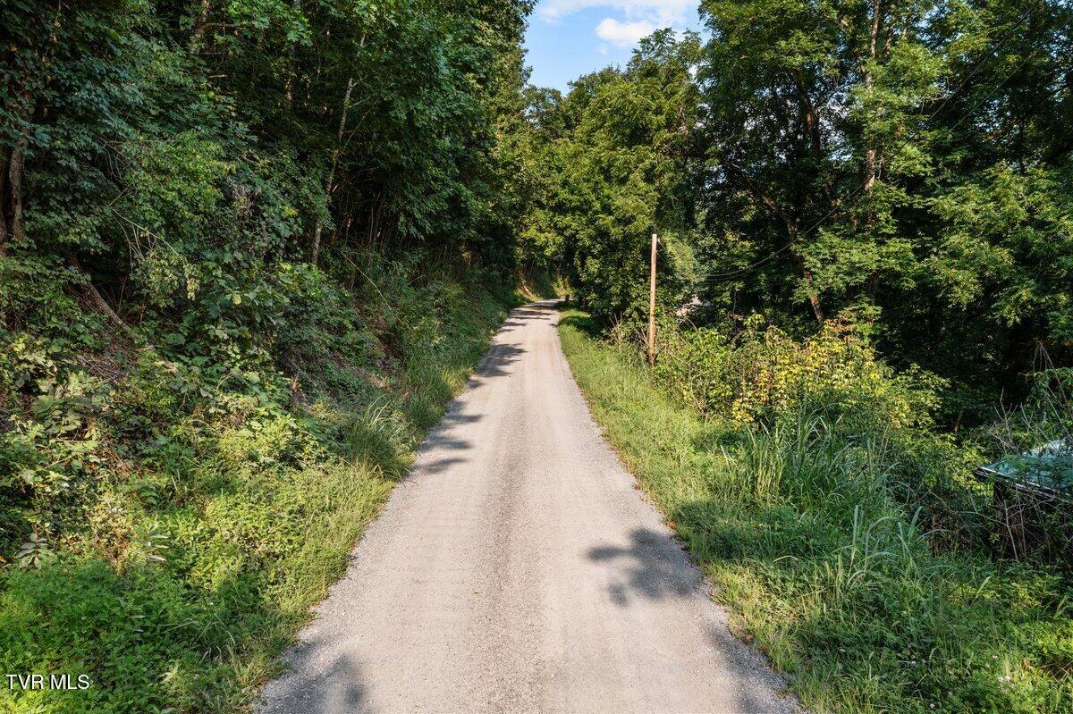 Lot 6 Anglers Way Road Duffield, VA 24244 - Photo 20 of 23 DJI_0093