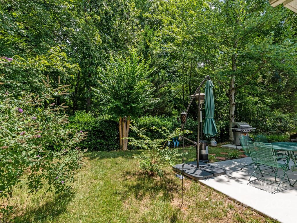 392 Sand Paver Way Fort Mill, SC 29708 - Photo 26 of 35 a view of a trees in a yard