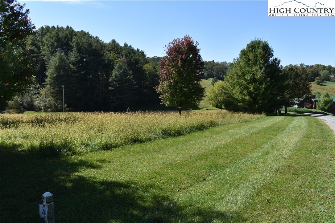 46 Bear Xing Road Sparta, NC 28675 - Photo 18 of 18 a view of outdoor space with green field and trees all around