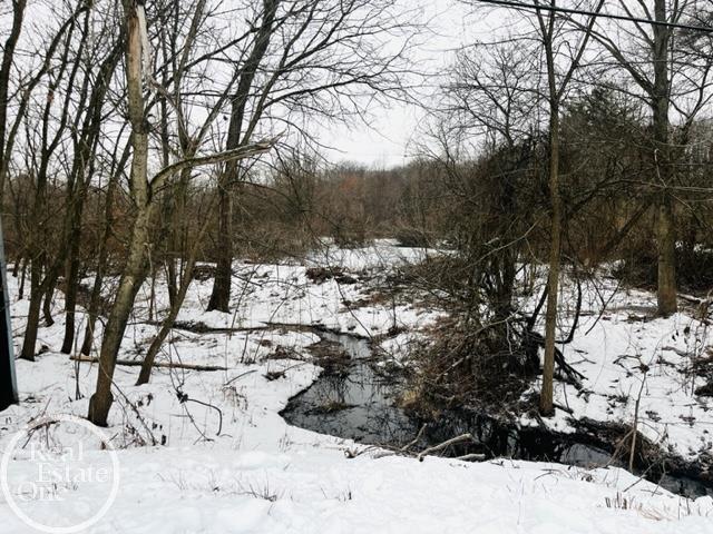 Vl Sunnyside Road Smiths Creek, MI 48074 - Photo 2 of 5