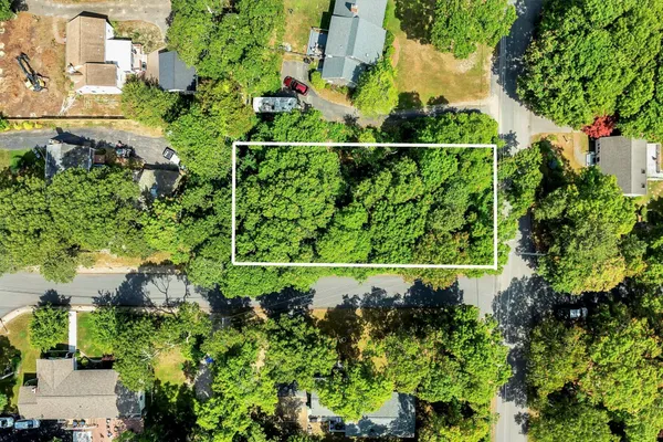 an aerial view of a garden with plants