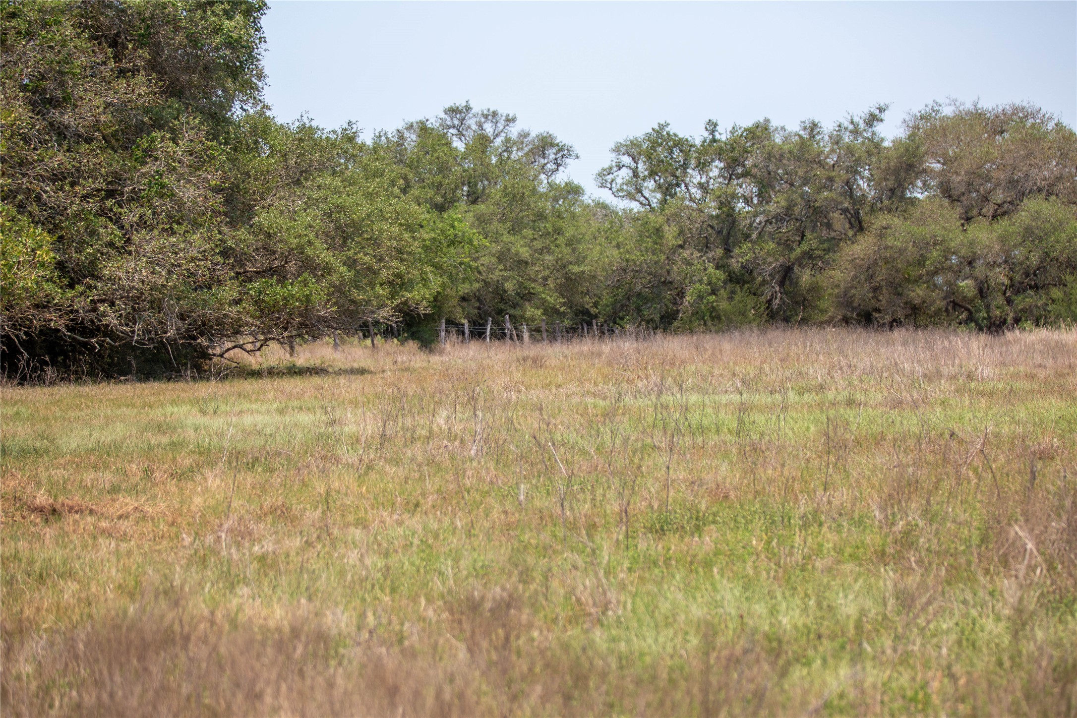 0 Green Dewitt Road Cuero, TX 77954 - Photo 40 of 40